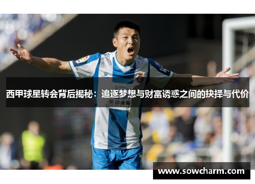 西甲球星转会背后揭秘：追逐梦想与财富诱惑之间的抉择与代价