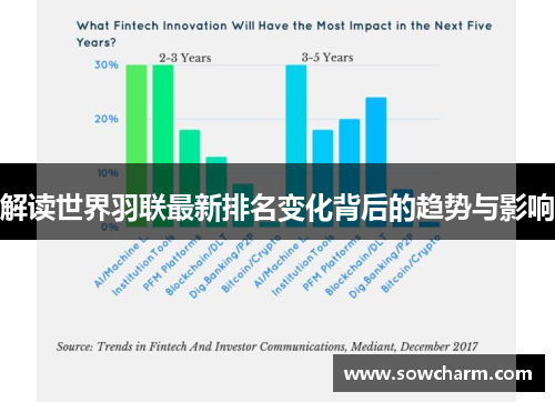 解读世界羽联最新排名变化背后的趋势与影响