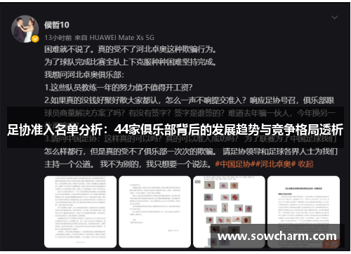 足协准入名单分析：44家俱乐部背后的发展趋势与竞争格局透析