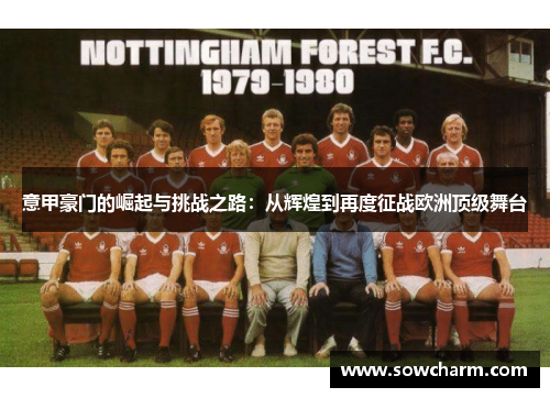 意甲豪门的崛起与挑战之路：从辉煌到再度征战欧洲顶级舞台