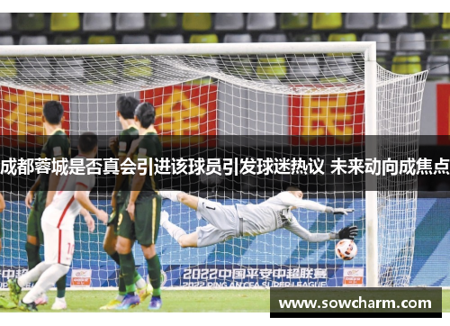 成都蓉城是否真会引进该球员引发球迷热议 未来动向成焦点